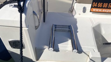 WHITE SHARK - 210 CC à vendre